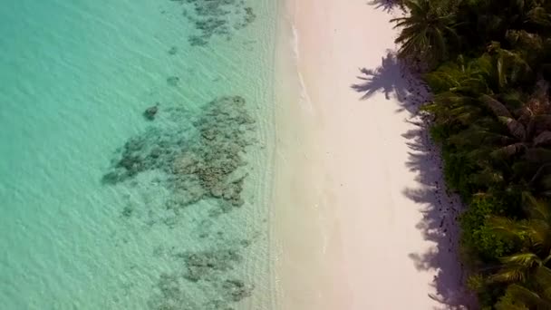 Flygfoto över havsvågor, gröna palmer på sandstranden vid solnedgången. Sommar i Paradise Palce. Semester. Tropiskt landskap med palmer, vit sand, blått vatten. Ovanifrån. Drönare. Maldiverna — Stockvideo