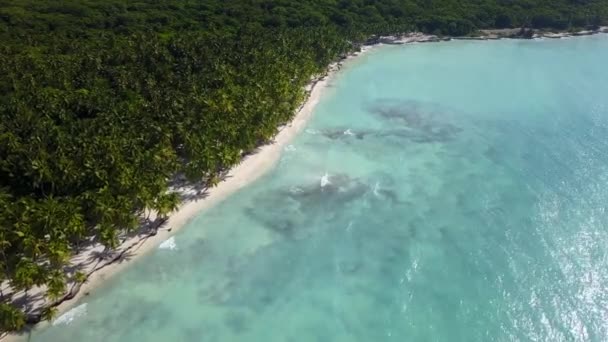 Karayip Denizi 'nin ıssız vahşi tropikal adası, beyaz kum plajı ve şnorkelle yüzmek için berrak gök mavisi suyu. Bir sürü avuç içi. Dalgalar sahili yıkar. İnsansız hava aracı görüntüsü — Stok video
