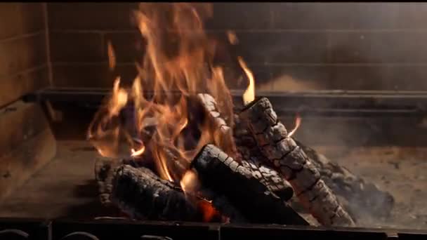 Feuerflamme in Zeitlupe. Heiße Kohlen vor dem Kochen von Fleisch. Familienkonzept. 4K in Zeitlupe. Flamme im Kohlenbecken — Stockvideo