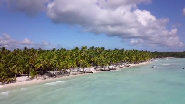 Blu oceano spiaggia di sabbia bianca natura palme tropicali Isola. Mare e cielo caraibico. Isola del Paesaggio. Palme turchese fondale marino Oceano Atlantico. Molti alberi verdi. Drone sparato sopra l'acqua — Video Stock