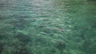 Parlak mavi denize yansıyan güneş, deniz kıyısında bir çok balığın olduğu okyanus. Temiz su. Üst Manzara. Sakin ol. Karayipler. Bahamalar