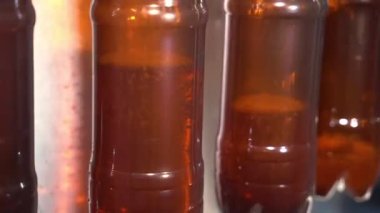 Fabrika taşıyıcısı taze bira şişeleri taşıyor. Alkol üretimi endüstrisi. Taşıyıcıda bir sürü bira var. Makinenin şarabını kahverengi camdan şişelere dolduruyor..