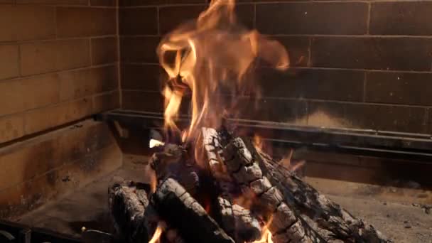 Yanan ateş. Şöminede yanan odunları yakın plan çek. Kömür. Aile atmosferi. Evin sıcaklığı. Güç ve enerji kavramı. Kış günü sıcak.. — Stok video