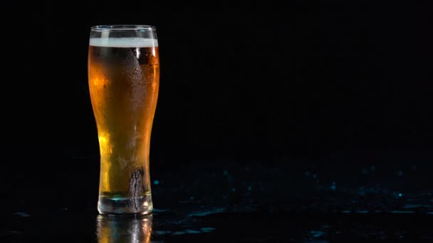 Egy pohár arany kézműves sör fehér habbal és mozgó buborékokkal, fekete háttérrel. Teljes feles nagy pohár sör ital vízcseppekkel statikus feles. — Stock videók