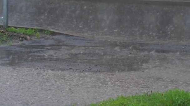 Déšť padající na silnici. Video - podzimní déšť. Příroda Období dešťů Podzimní kapky dešťové vody padají do velké kaluže na chodník a zaplavují ulici. Silniční povodně způsobené silnými dešti během — Stock video