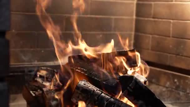 Oheň a plameny. Domácí vřelý koncept. Rodina. Dřevo a uhlí hoří. Atmosféra pohodlí. Pálení krbu v zimním období. Dřevo hoří v krbu zblízka. — Stock video
