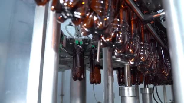 Alkoholgyár. Technológiai sor sör palackozására a sörfőzdében. Üres barna üvegek sorban a gyárban. Üvegek szállítják a szállítószalagot az Üveggyárban. A tiszta sörösüvegek mozognak. — Stock videók