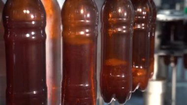 Elektronik şişe cam fabrika kalitesini denetler. Sıralama bira şişeleri. Kalite kontrol cam şişe. Şişeleme bira bira için teknolojik satır. Bira şişe fabrikası. Yakın çekim.