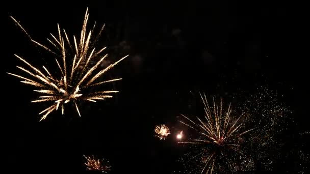 Ralenti 4k plan de fond de feu d'artifice réel. flou abstrait de véritables feux d'artifice dorés brillants avec des lumières bokeh dans le ciel nocturne. spectacle de feux d'artifice lumineux. Fête du Nouvel An feux d'artifice — Video
