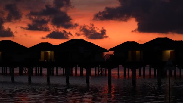 马尔代夫岛。美丽的落日，海边有棕榈树。热带日落，棕榈树轮廓。太阳穿过棕榈叶 — 图库视频影像