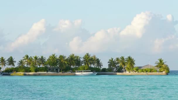 Мальдівський острів. Стріляй повільніше. Пальмові дерева і море, сонячний літній день. Великі білі хвилі лежать на білому піщаному пляжі.. — стокове відео