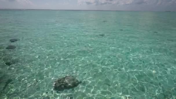 Islas Maldivas. Textura de la superficie del agua, Lento movimiento bucle limpio piscina ondulaciones y olas, Refracción de la luz del sol vista superior textura lado del mar arena blanca, sol brillo agua lazo fondo. — Vídeos de Stock