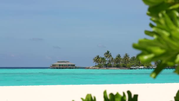 Wyspa Malediwów. Naturalny tropikalny krajobraz Sea Beach. Krystalicznie czysta fala morska i biała piaszczysta plaża. Relaks na czystym słońcu Sea Beach długi pętli wideo 4k. — Wideo stockowe