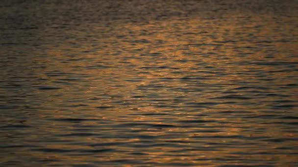 Супер медленная съемка. Океан на Мальдивах. Отражение солнечного света над поверхностью озера в замедленной съемке — стоковое видео