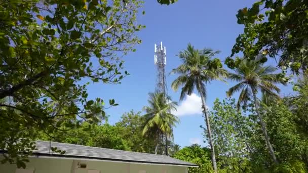 Pracownik tropikalny obsługujący antenę komórkową przed światłem słonecznym, widok drona systemu anteny telekomunikacyjnej, technik pracujący nad anteną komórkową — Wideo stockowe