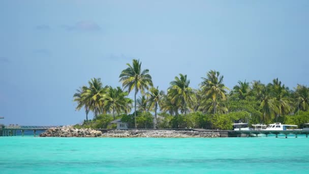 Карибский пляж фон. Солнечный тропический пляж. Жаркий день на пустом пляже. Лучшие пляжи в мире. Пляжи Доминиканской Республики. 4k — стоковое видео