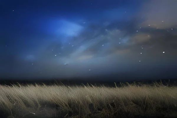 Tahıllı güzel bir akşam tarlası