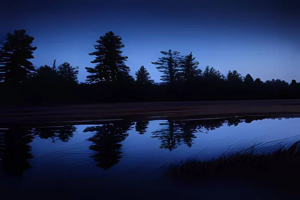 Orman geceleri göletin yanında