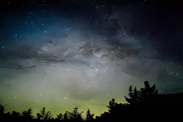 Güzel yıldızlı gökyüzü ve orman