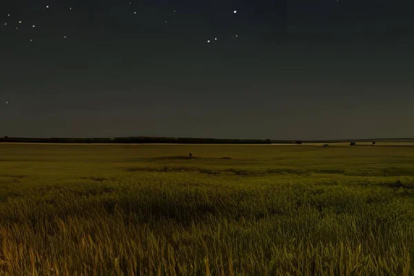 Geceleri güzel tarla