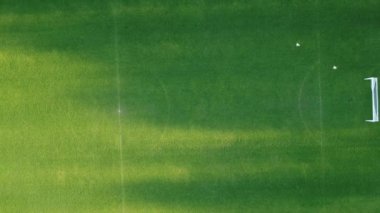 Futbol sahası ya da gerçek çimenli futbol sahası manzarası.
