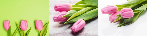 Set Tulipanes Rosados Sobre Fondo Marrón Madera Verde Blanco Concepto —  Fotos de Stock