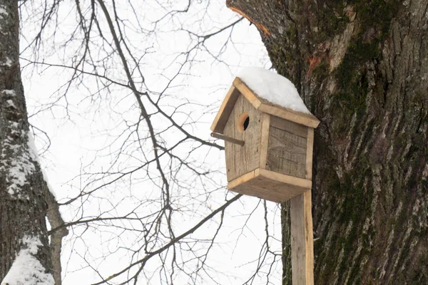 Birdhouse Made Boards Fixed Linden Tree Snow Roof Bird Care — Zdjęcie stockowe