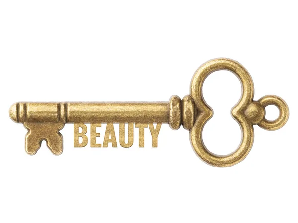 Beyaz Arka Planda Güzel Yazan Bronz Antika Anahtarlar Olasılık Kapasite — Stok fotoğraf