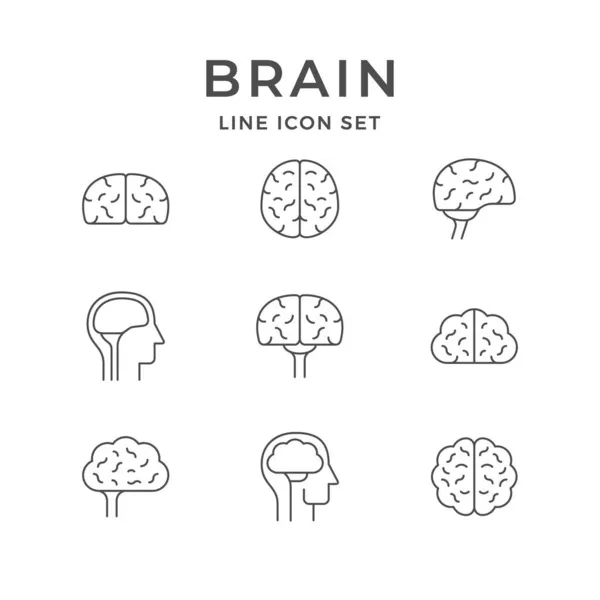 Nastavit čárové ikony mozku izolované na bílém — Stockový vektor