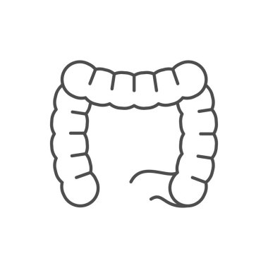 İnsan bağırsakları beyaz üzerine izole edilmiş bir sembol çizer. Vektör illüstrasyonu