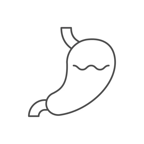 Human Stomach Line Outline Icon Isolated White Vector Illustration — Vetor de Stock