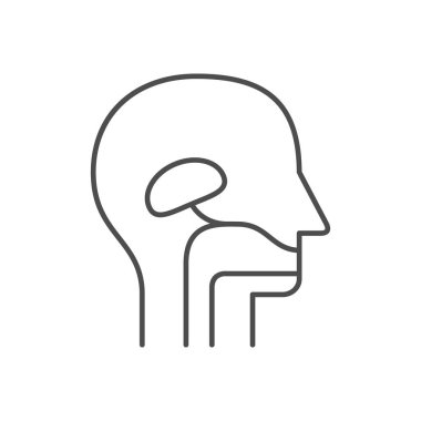 Sindirim sistemi çizgisi ana hatları beyaza izole edilmiş. Vektör illüstrasyonu