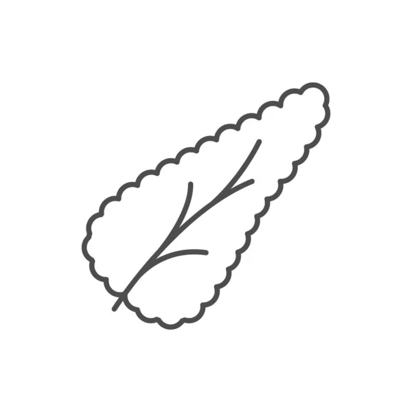 Human Pancreas Line Outline Icon Isolated White Vector Illustration — 图库矢量图片