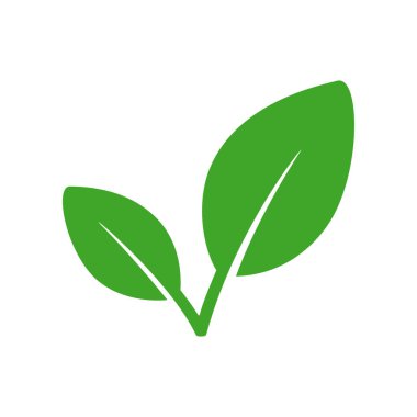 Eco leaf or organic product icon isolated on white. Vector illustration