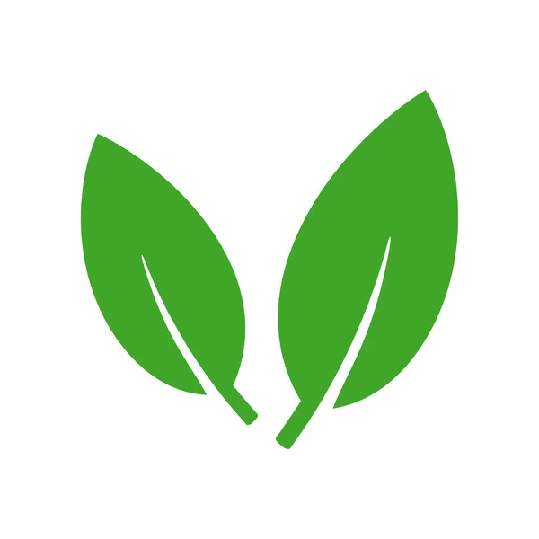 Eco Leaf Organic Product Icon Isolated White Vector Illustration — Stok Vektör