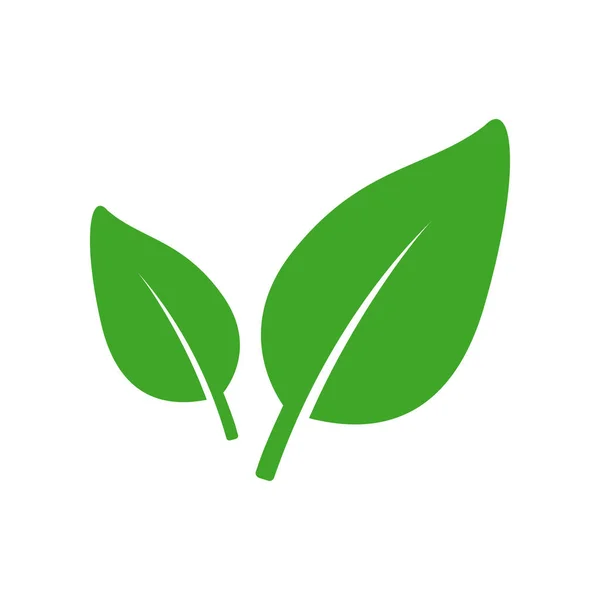 Eco Leaf Organic Product Icon Isolated White Vector Illustration — Stok Vektör