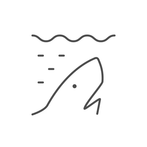 Shark Animal Line Outline Icon Isolated White Vector Illustration — Vector de stock