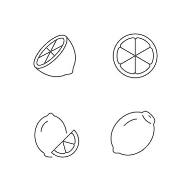 Lemon fruit line outline icon isolated on white. Vector illustration