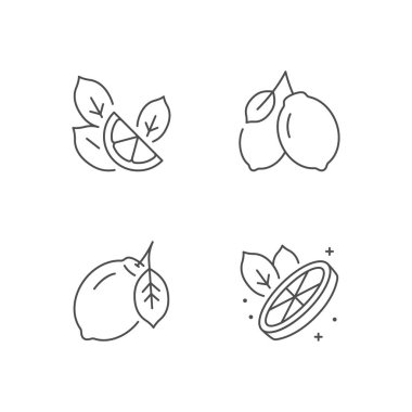 Lemon fruit line outline icon isolated on white. Vector illustration