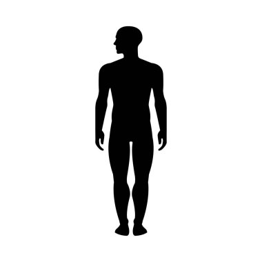 Man human body glyph icon isolated on white. Vector illustration