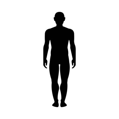 Man human body glyph icon isolated on white. Front view. Vector illustration
