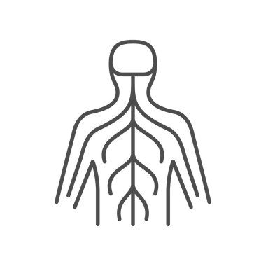 İnsan sinir sistemi çizgisi simgesi beyaza izole edildi. Vektör illüstrasyonu