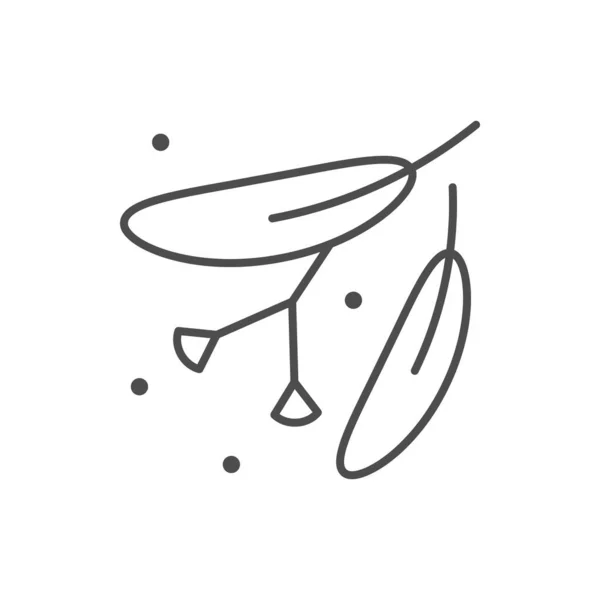 Лінія Лінденських Квіток Окреслена Білому Тлі Приклад Вектора — стоковий вектор
