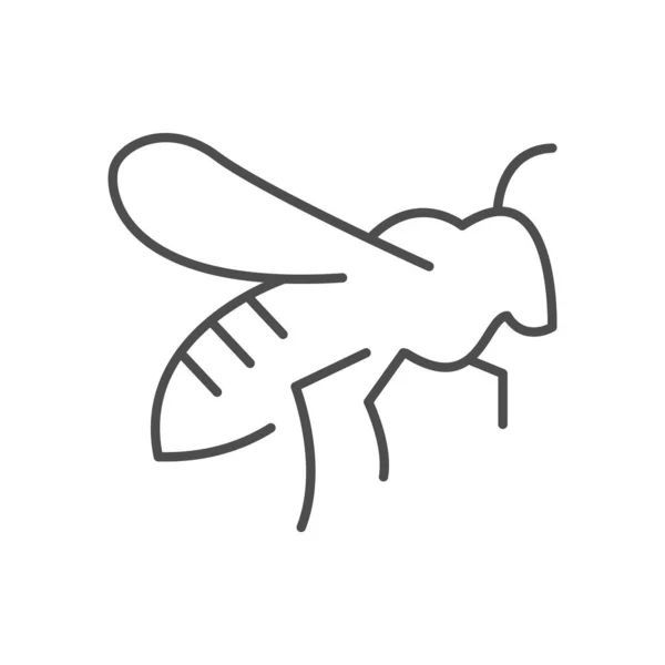 Bee Wasp Line Outline Icon Isolated White Vector Illustration — Stock Vector