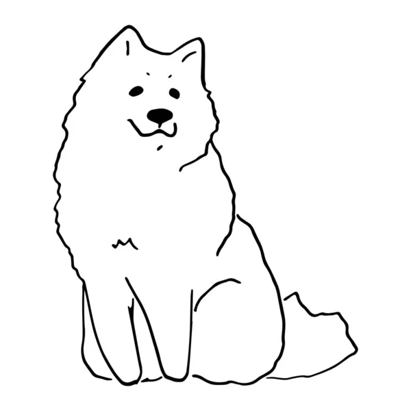 White cute smiling samoyed dog doodle sketch — Stock Vector