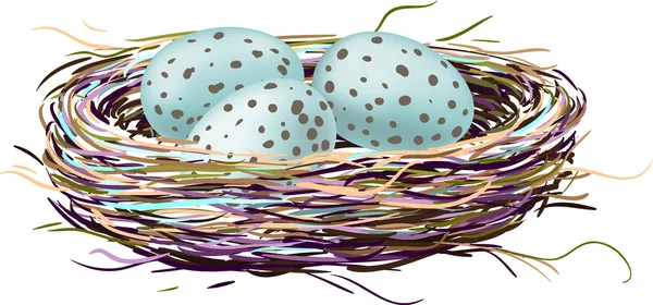 Bird's nest met robin eieren — Stockvector