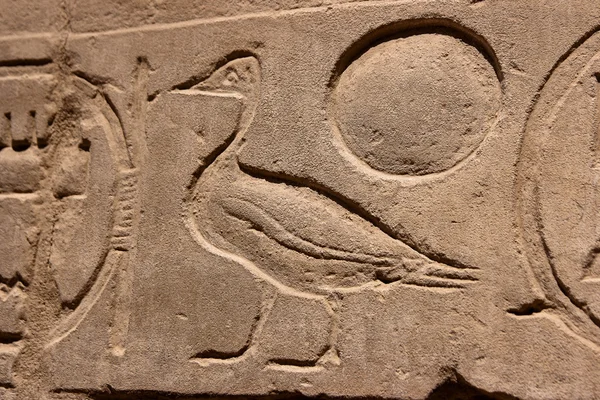 Ägyptischer Hieroglyphen-Vogel — Stockfoto