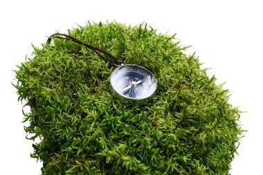 moss pusula yakın çekim