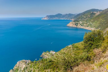 İtalya 'daki Cinque Terre' de Manarola 'nın teraslarındaki üzüm bağının manzarası