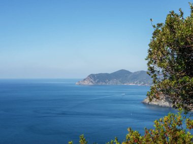 İtalya 'daki Cinque Terre' de Manarola 'nın teraslarındaki üzüm bağının manzarası